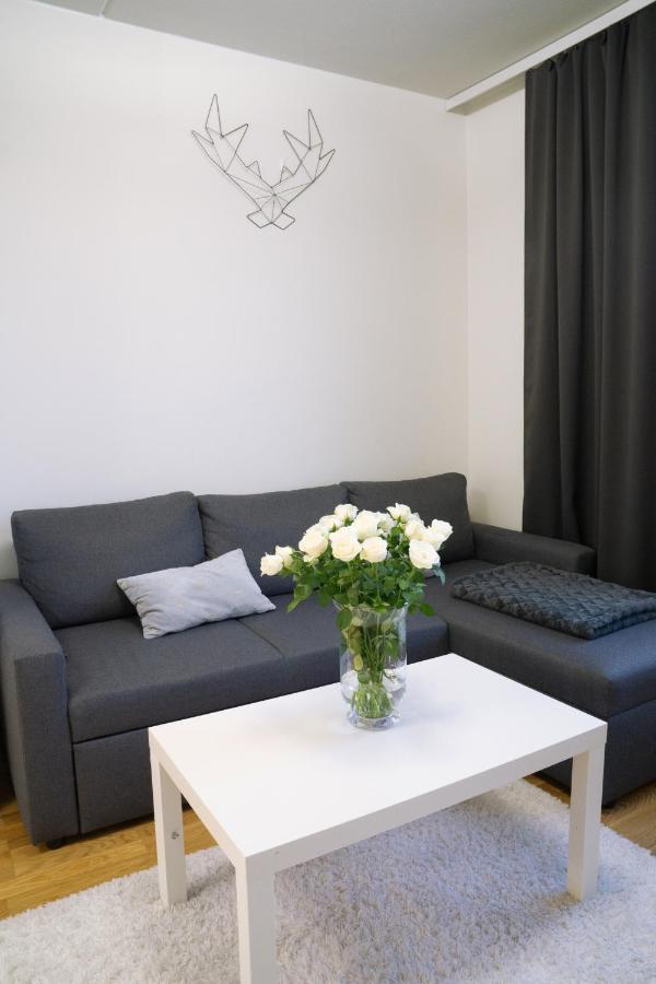 Lovely Northern Apartment, Parking Оулу Экстерьер фото
